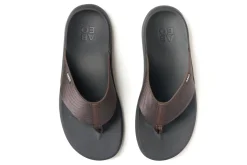 ABEO Medium|Active-Alpha