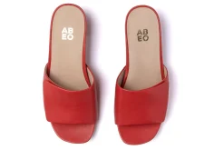 Women ABEO Standard|Education-Avenue Slide