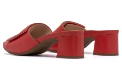 Women ABEO Standard|Education-Avenue Slide