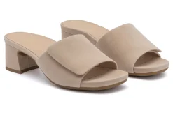 Women ABEO Standard|Education-Avenue Slide