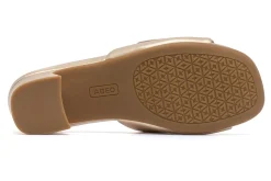 Women ABEO Standard|Education-Avenue Slide