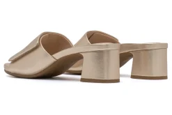 Women ABEO Standard|Education-Avenue Slide