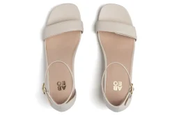 Women ABEO Standard|Education-Avenue Strap