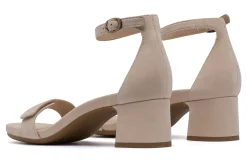 Women ABEO Standard|Education-Avenue Strap