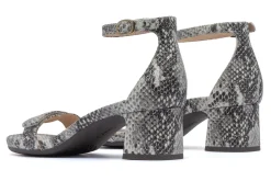 Women ABEO Standard|Education-Avenue Strap