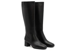 Women ABEO Education|Office-Avenue Tall