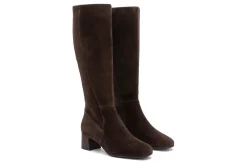 Women ABEO Standard|Education-Avenue Tall Metatarsal