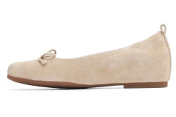 Women ABEO Standard|Service-Cadence Bow