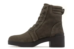 Women ABEO Standard|Education-Capital Lace