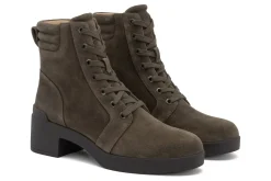 Women ABEO Standard|Education-Capital Lace