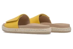 Women ABEO Standard|Education-Isle Slide