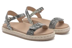 Women ABEO Standard|Education-Isle Strap Metatarsal