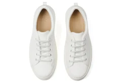 Women ABEO Standard|Education-Jumpstreet Bungee