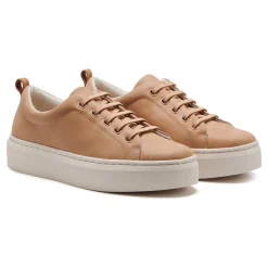 Women ABEO Standard|Education-Jumpstreet Bungee Metatarsal