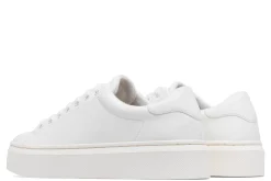 Women ABEO Standard|Education-Jumpstreet Sneaker