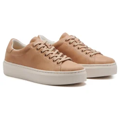 Women ABEO Standard|Education-Jumpstreet Sneaker