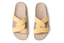 Women ABEO Education|Travel-Lanai Slide