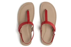 Women ABEO Standard|Education-Oasis T Strap