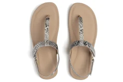 Women ABEO Standard|Education-Oasis T Strap