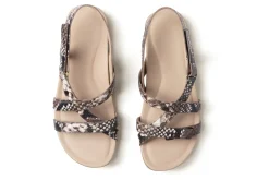 Women ABEO Standard|Sandals-Ollie