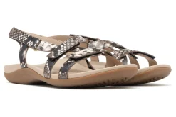 Women ABEO Standard|Sandals-Ollie