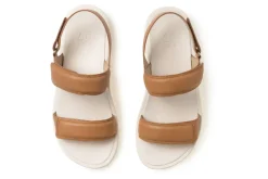 Women ABEO Standard|Education-Paseo Sandal