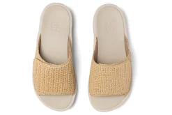 Women ABEO Standard|Education-Paseo Slide