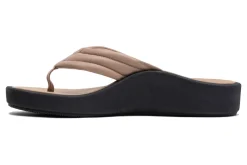 Women ABEO Standard|Education-Paseo Slide