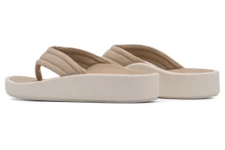 Women ABEO Standard|Education-Paseo Thong Sandal Metatarsal