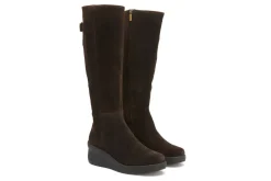 Women ABEO Standard|Education-Passage Tall