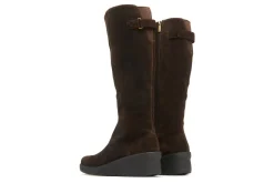 Women ABEO Standard|Education-Passage Tall Metatarsal