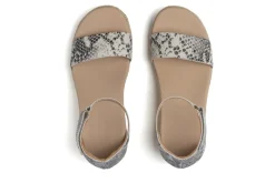 Women ABEO Standard|Education-Riviera Ankle Sandal Metatarsal