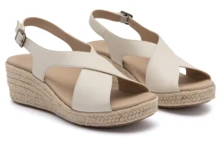 Women ABEO Standard|Education-Riviera Cross