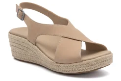 Women ABEO Standard|Education-Riviera Cross