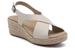 Women ABEO Standard|Education-Riviera Cross Metatarsal