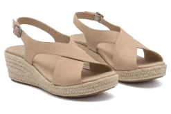 Women ABEO Standard|Education-Riviera Cross Metatarsal