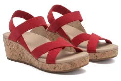 Women ABEO Standard|Education-Riviera Stretch