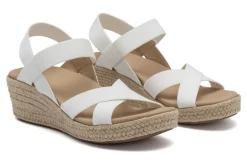 Women ABEO Standard|Education-Riviera Stretch