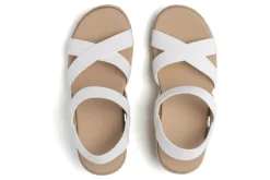 Women ABEO Standard|Education-Riviera Stretch Metatarsal