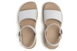Women ABEO Standard|Education-Solstice Buckle Sandal