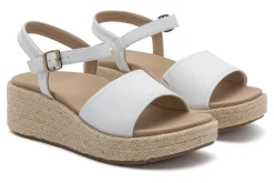 Women ABEO Standard|Education-Solstice Buckle Sandal