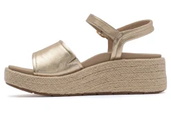 Women ABEO Standard|Education-Solstice Buckle Sandal Metatarsal