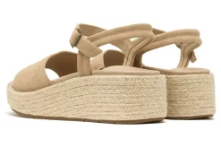 Women ABEO Standard|Education-Solstice Buckle Sandal Metatarsal