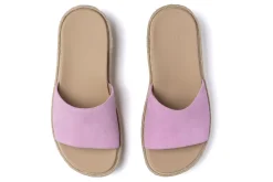 Women ABEO Standard|Education-Solstice Slide