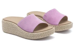 Women ABEO Standard|Education-Solstice Slide