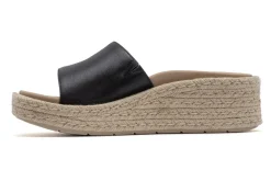 Women ABEO Standard|Education-Solstice Slide