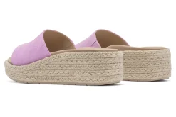 Women ABEO Standard|Education-Solstice Slide Metatarsal