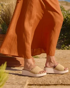 Women ABEO Standard|Education-Solstice Slide Metatarsal