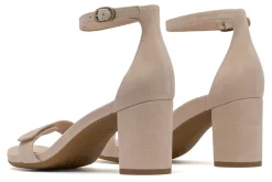 Women ABEO Standard|Education-Tempo Strap