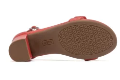 Women ABEO Standard|Education-Tempo Strap Metatarsal